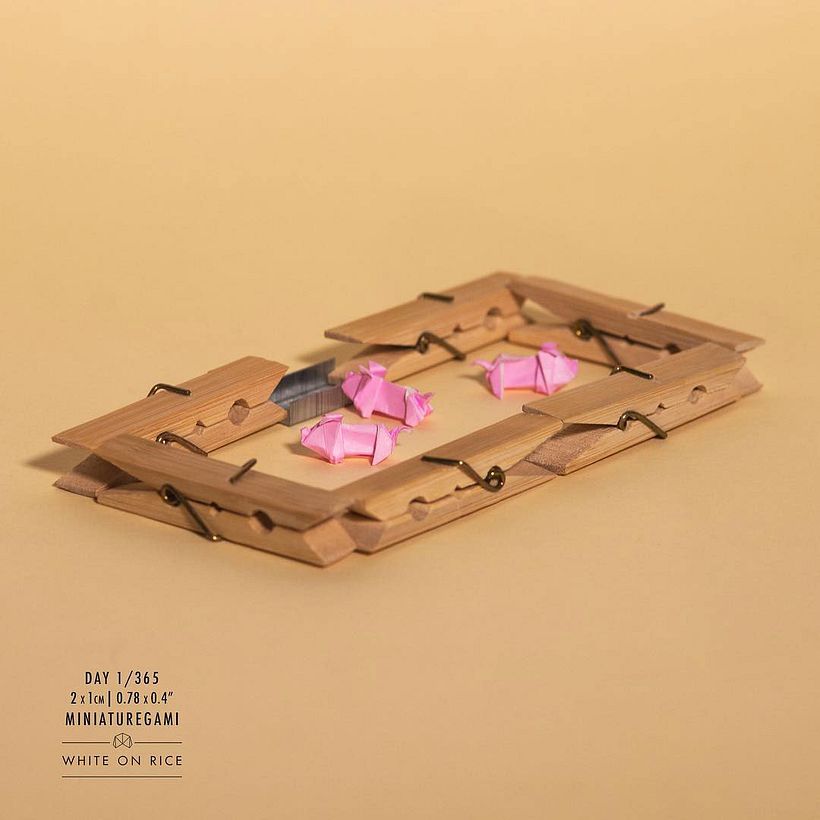 White on rice: un origami al día desde 2014 12