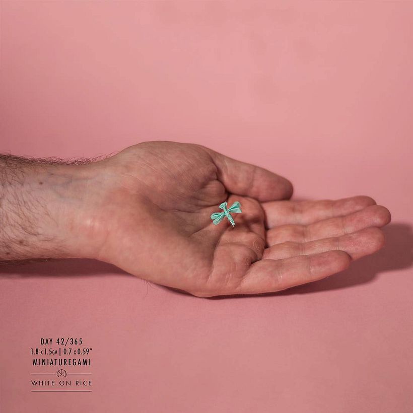 White on rice: un origami al día desde 2014 15