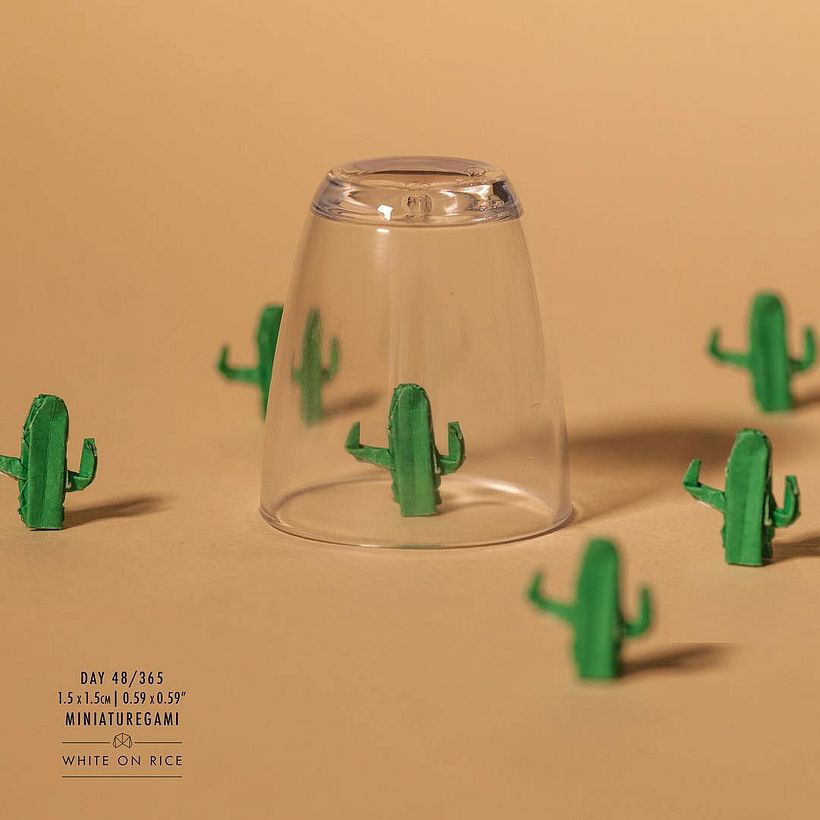 White on rice: un origami al día desde 2014 17
