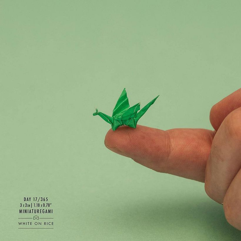 White on rice: un origami al día desde 2014 18