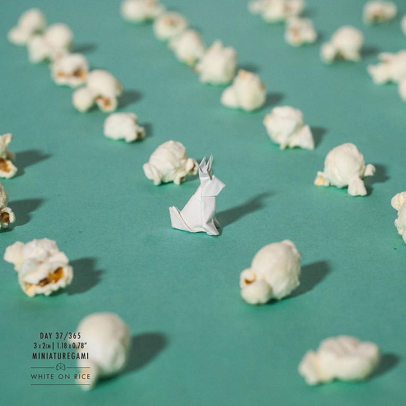 White on rice: un origami al día desde 2014 19