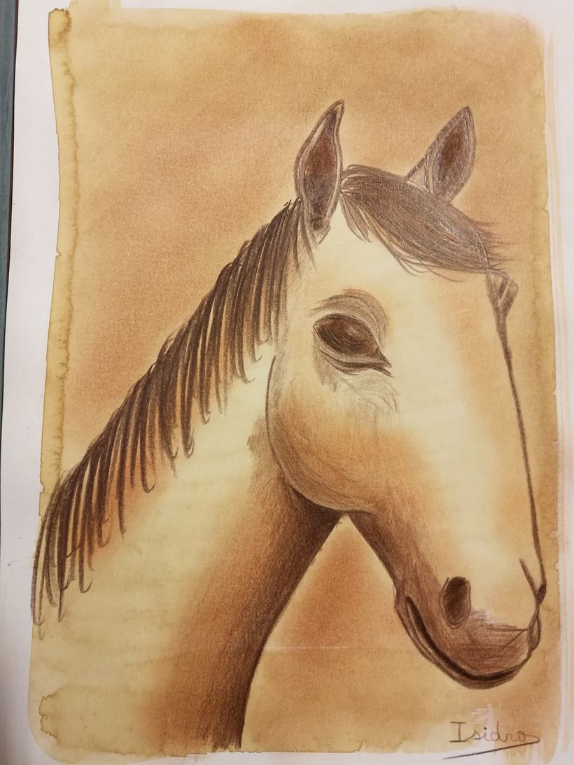 Dibujos en escuela -1