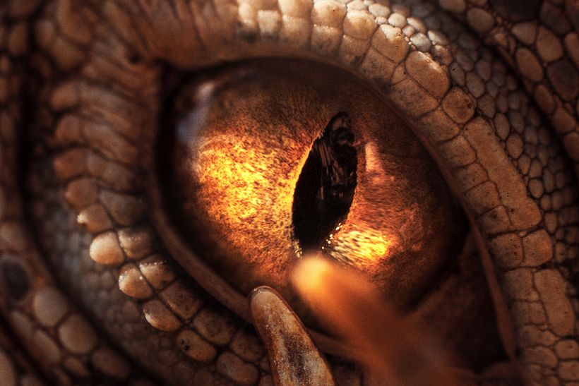 Reptilians are watching 2