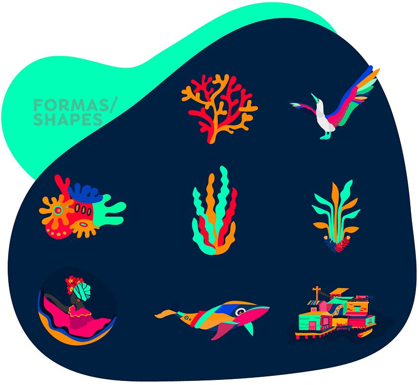 Pera Isleña, Colombia. 5