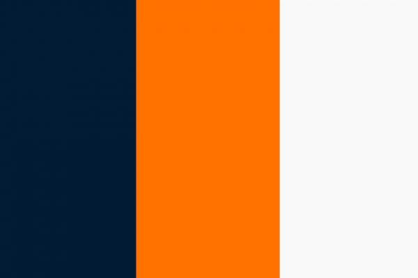 Identidad Visual - Buenos Alimentos 3