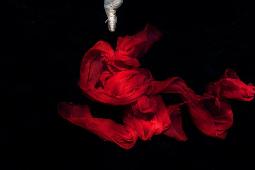 La fotografía submarina de Isabel Muñoz para salvar los océanos 15