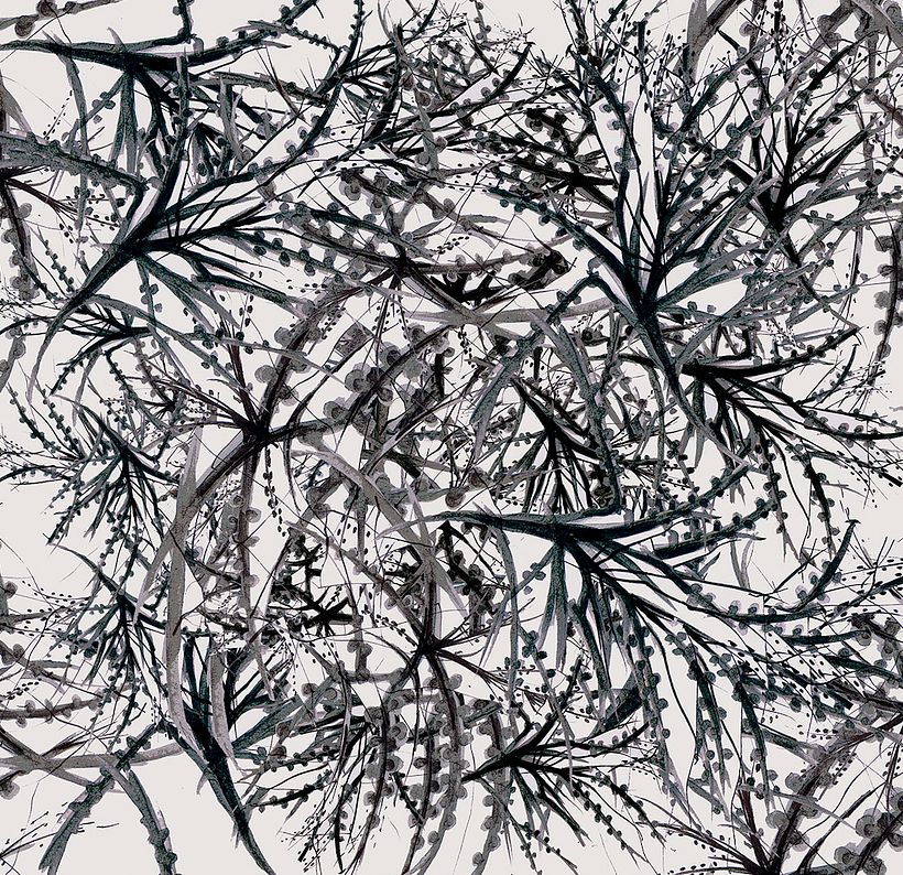 Ramas/ Pattern .Tinta sobre papel. 0