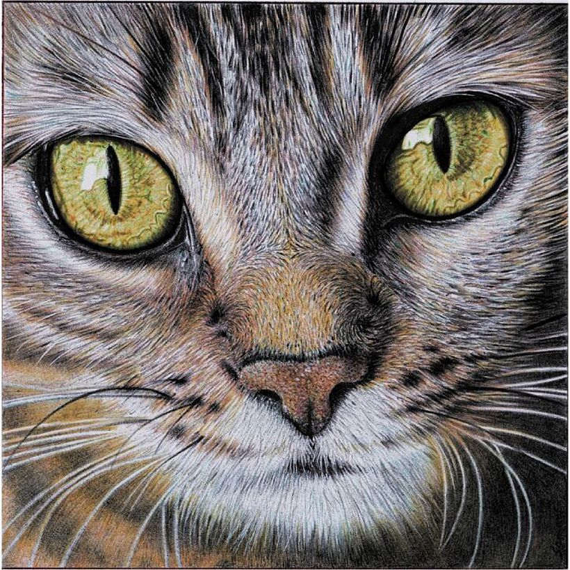 Las increíbles ilustraciones a bolígrafo de Samuel Silva 1