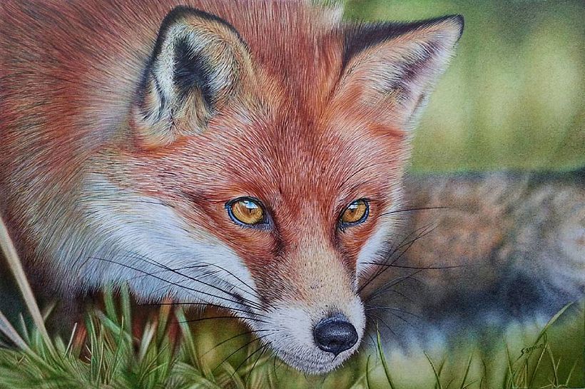 Las increíbles ilustraciones a bolígrafo de Samuel Silva 6