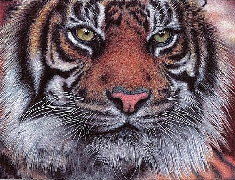 Las increíbles ilustraciones a bolígrafo de Samuel Silva 7