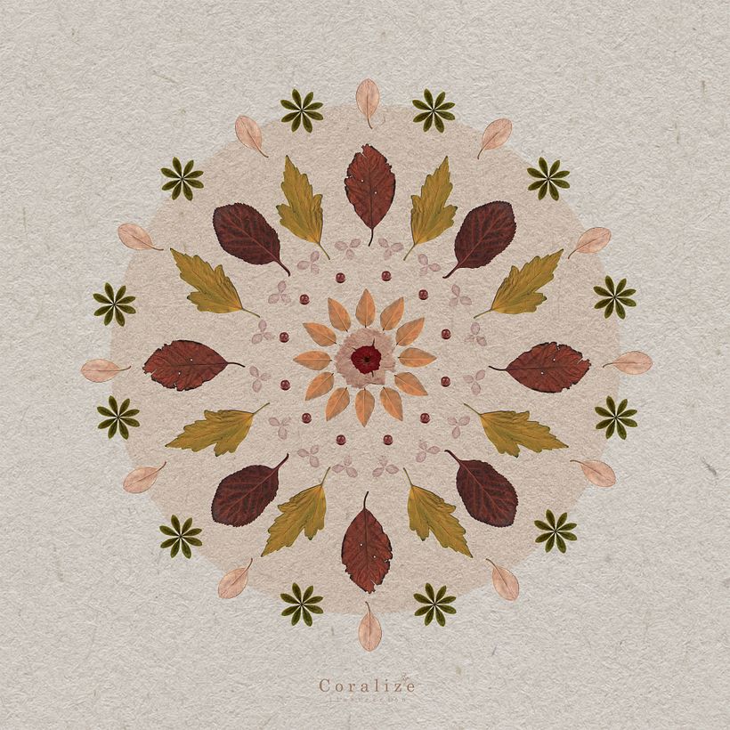 Mandala 0