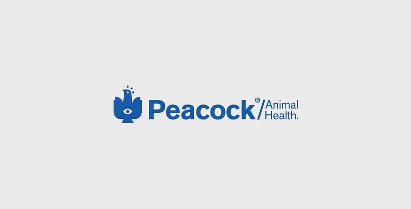 Peacock 3