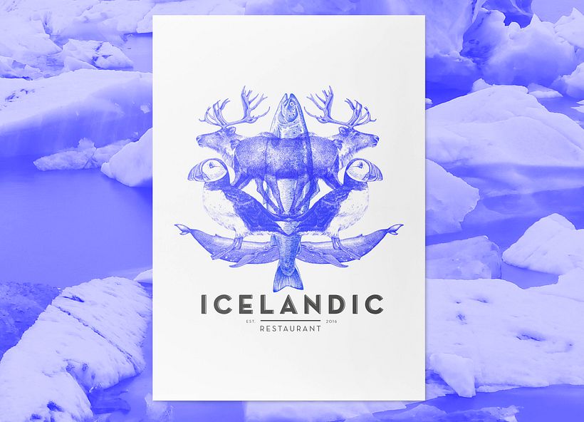 ICELANDIC - Branding & Identity