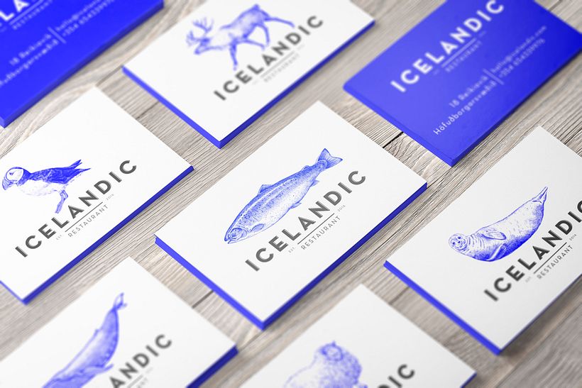 ICELANDIC - Branding & Identity