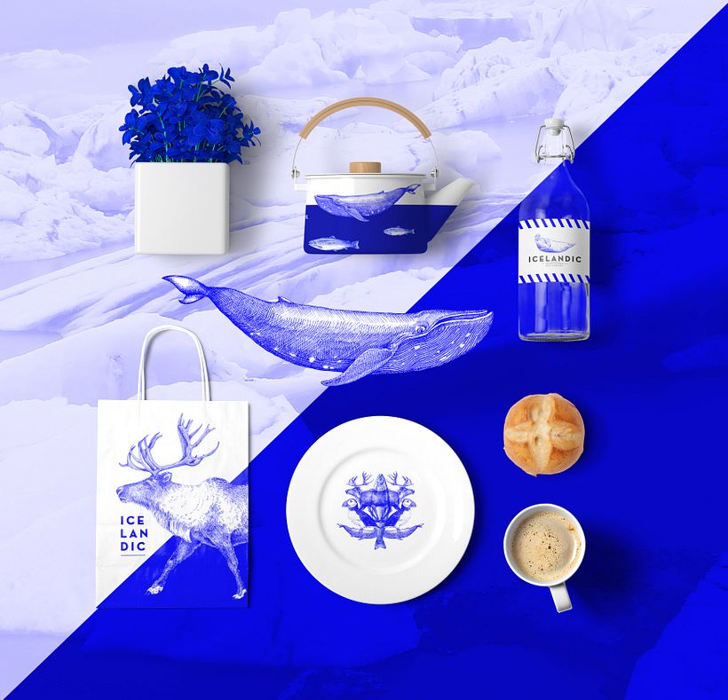 ICELANDIC - Branding & Identity