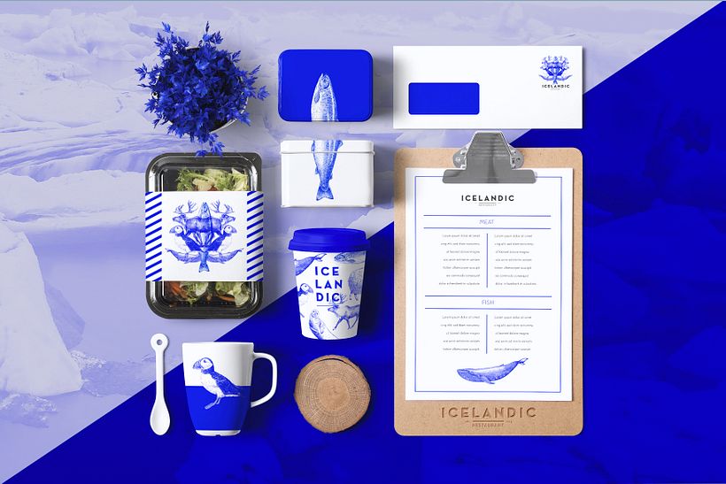 ICELANDIC - Branding & Identity