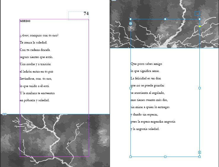 Estancias y recuerdos: libro de poemas 4