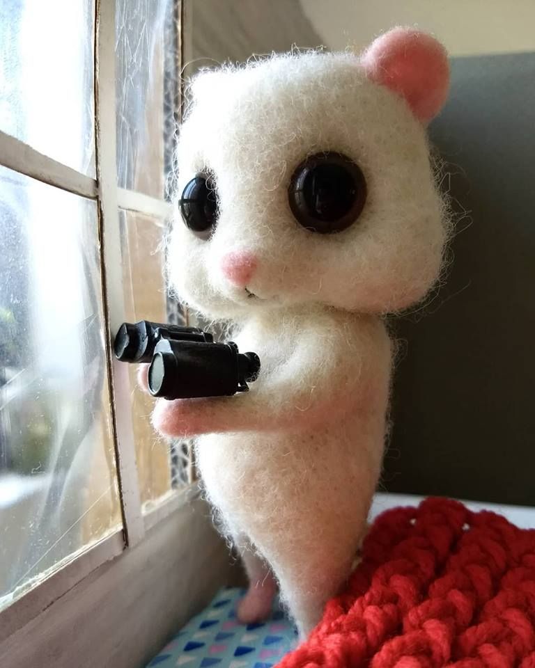 The life of a hamster 1