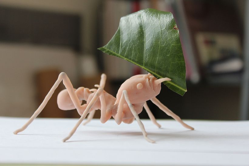 Ants and Their Nest 1