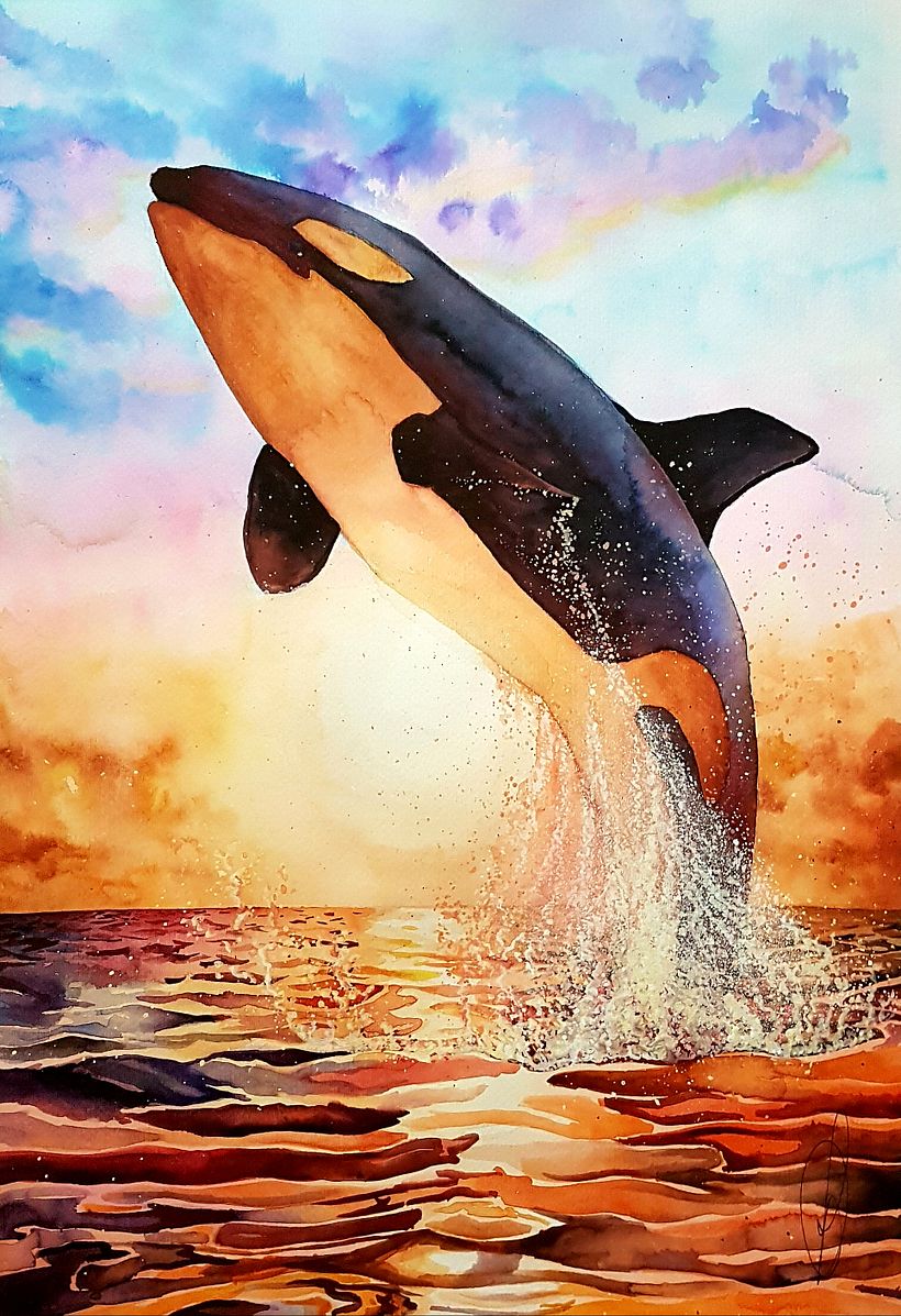 Orca 0