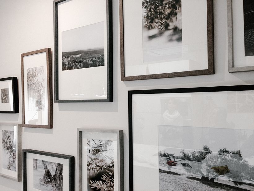 El fruto del olivo. 0