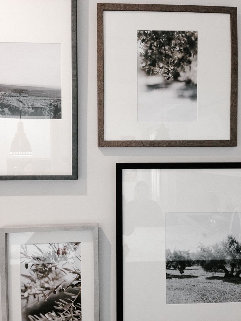 El fruto del olivo. 1