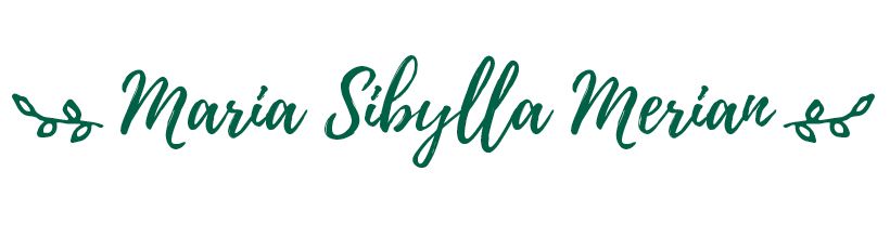 Maria sibylla - Principia Magazine 0