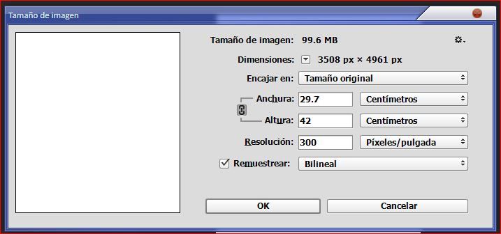 Sobre la subida de archivos en la web Issuu 2