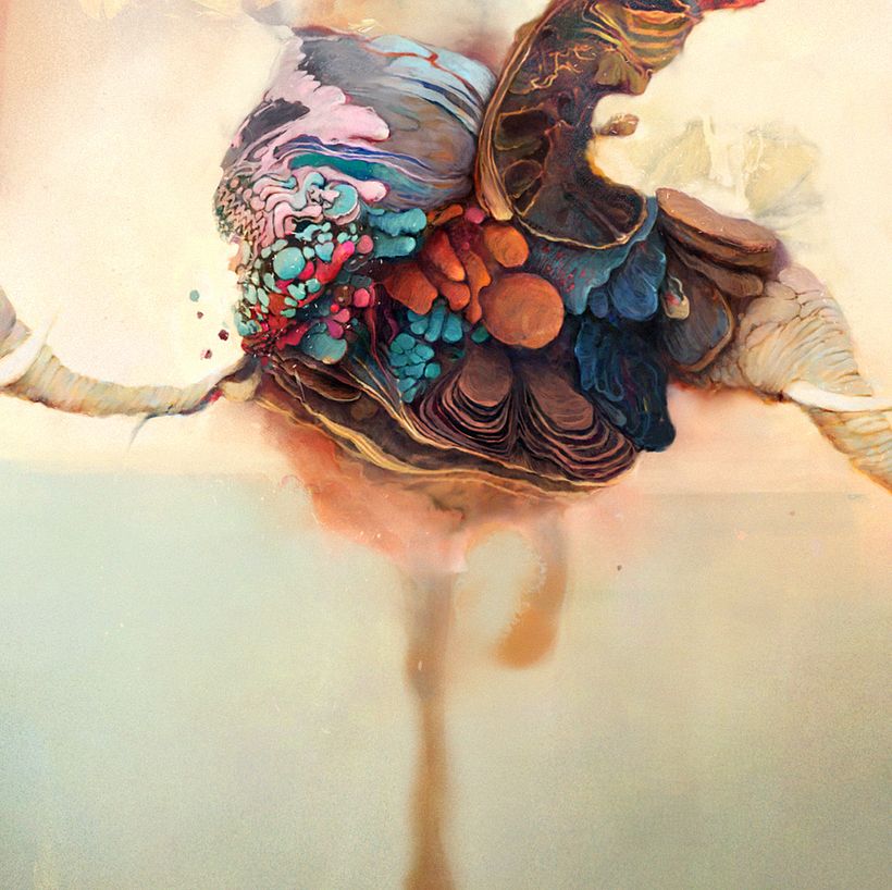 Album Covers 15