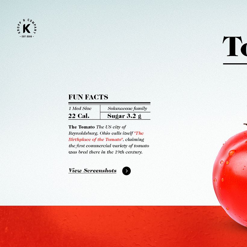 Archivo de Fotos - Proyecto en Progreso 4