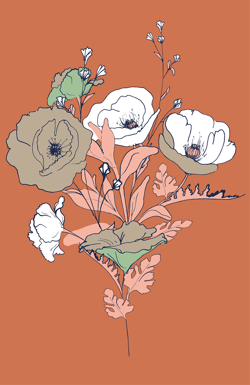 Ilustracion "Amapolas" -1