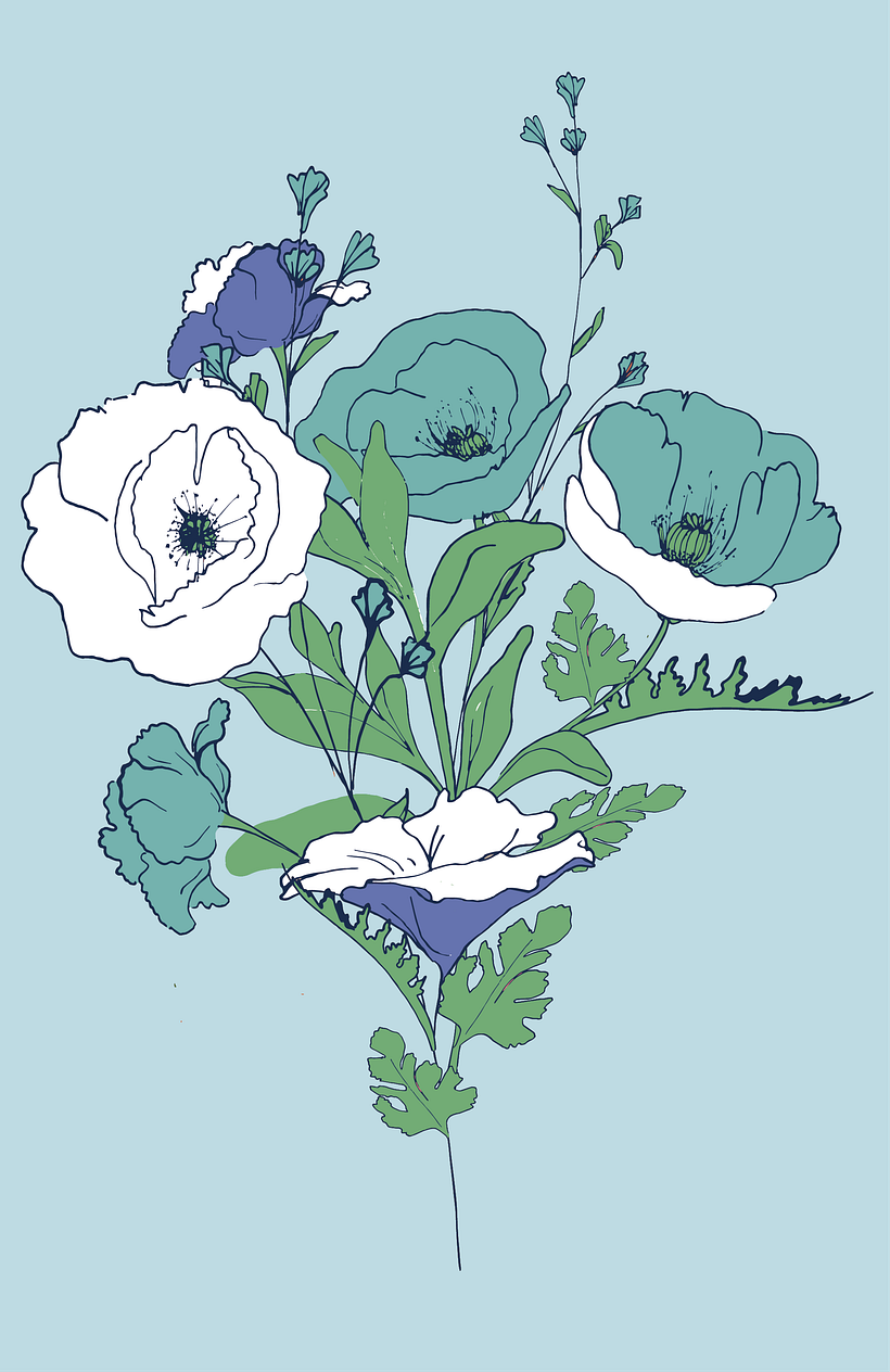 Ilustracion "Amapolas" 0