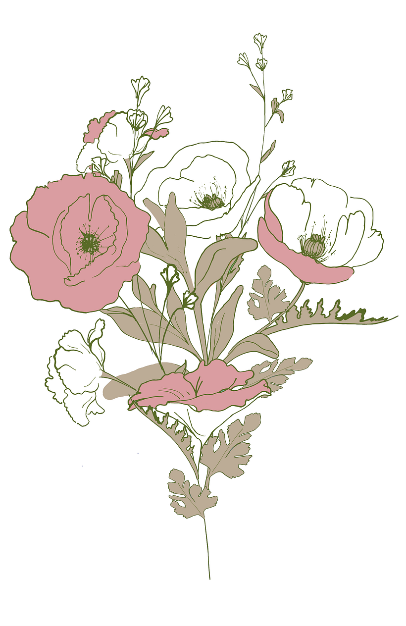 Ilustracion "Amapolas" 1