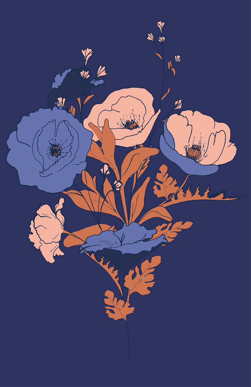 Ilustracion "Amapolas" 2