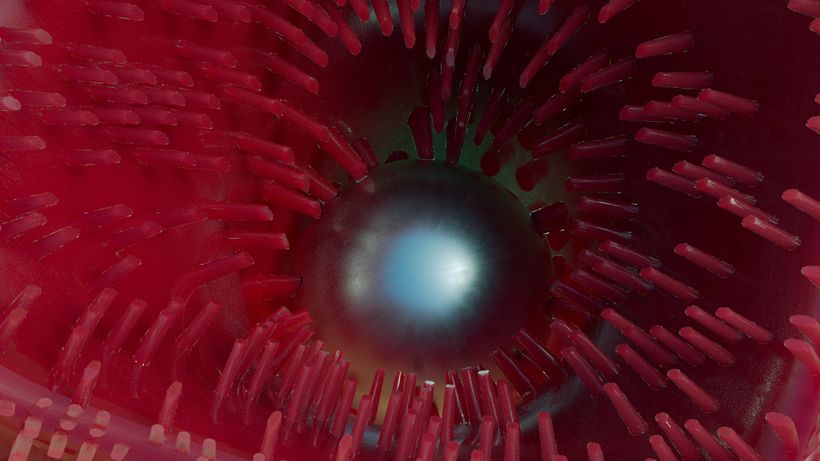 3D Strange soft bodies 3