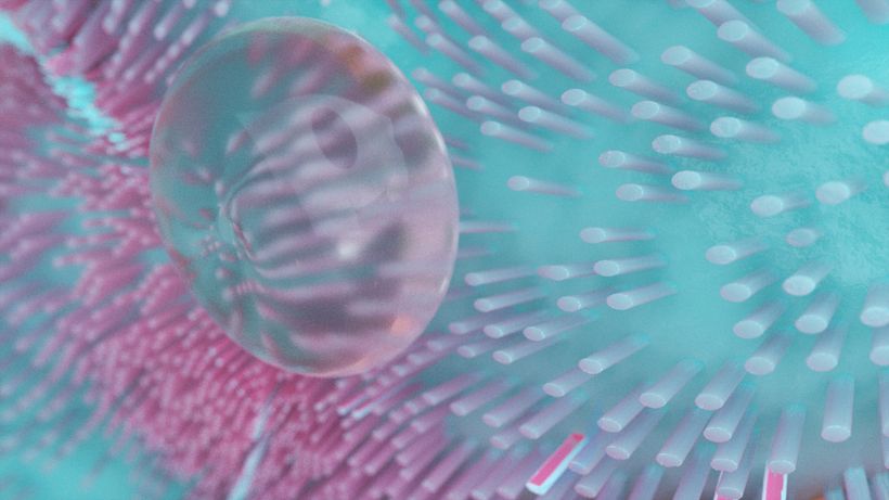 3D Strange soft bodies 4