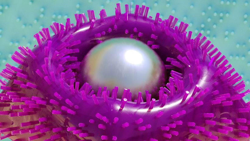 3D Strange soft bodies 5