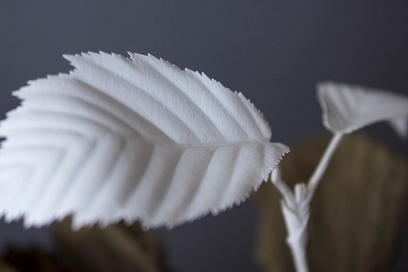 El impresionante mundo animado de papel de Daniela Leitner 7