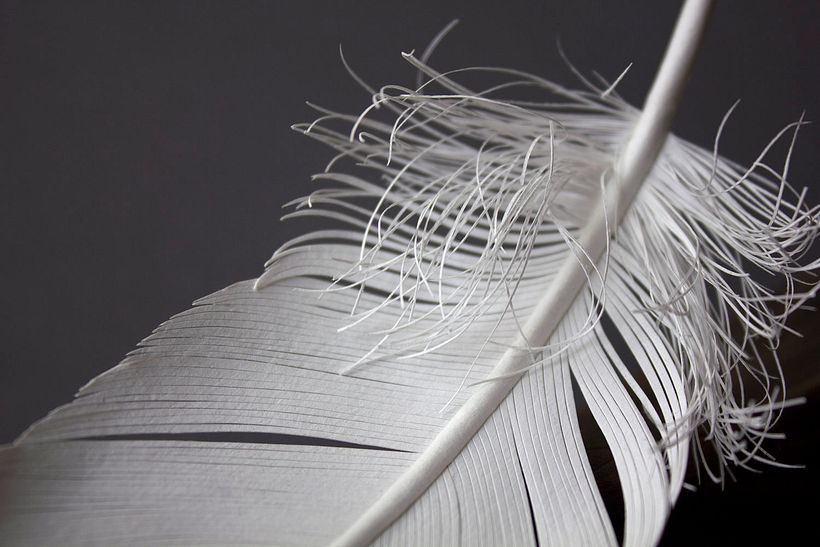 El impresionante mundo animado de papel de Daniela Leitner 14