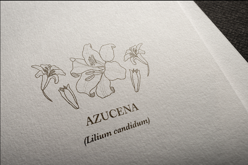 Mi Proyecto del curso: Diseño e ilustración de un Fanzine 2