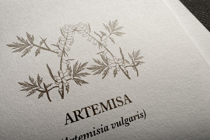 Mi Proyecto del curso: Diseño e ilustración de un Fanzine 3