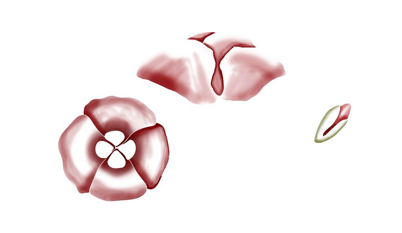 Mi Proyecto del curso: Diseño e ilustración de un Fanzine 10