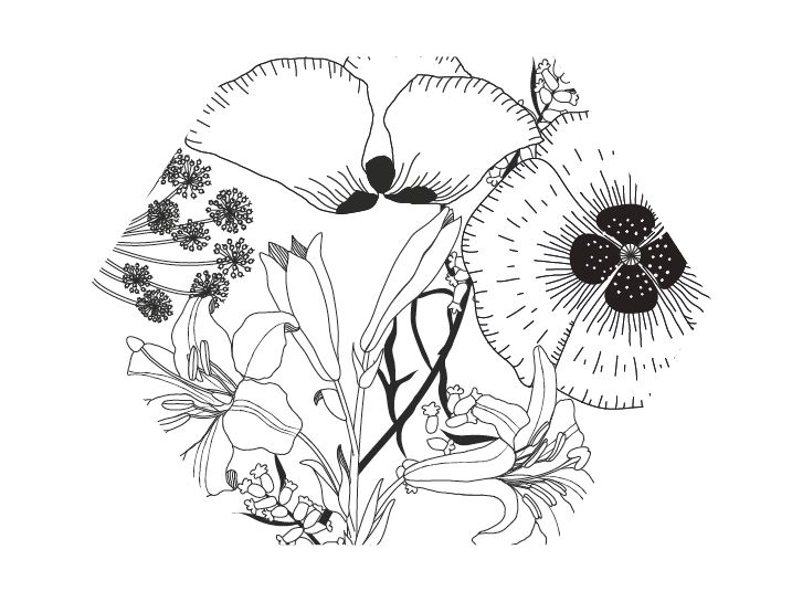 Mi Proyecto del curso: Diseño e ilustración de un Fanzine 15