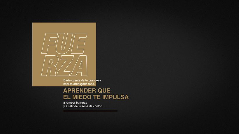 FUERZA 0