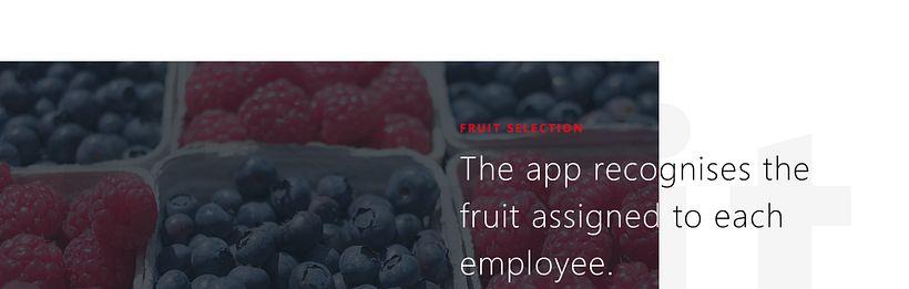 UI / UX App recolección fruta en Marruecos 7