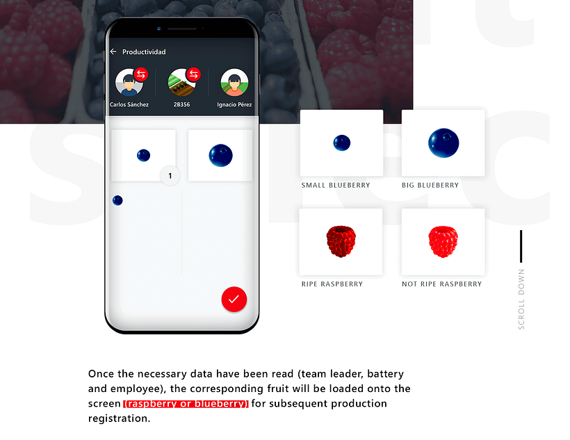 UI / UX App recolección fruta en Marruecos 8