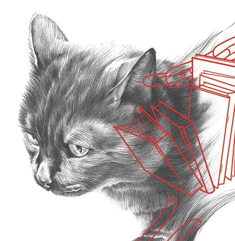 Pícaro - El gato macarra - Ilustración tradicional