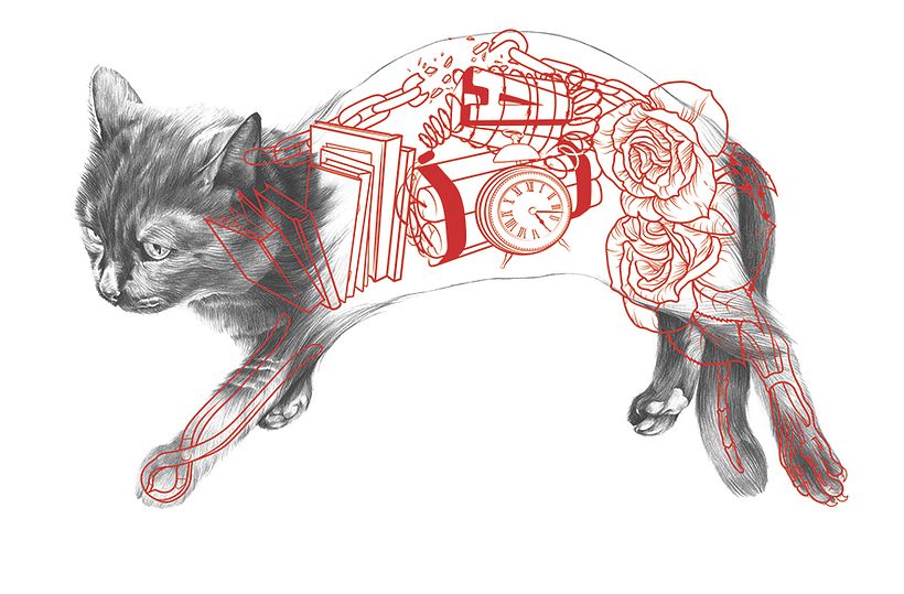 Pícaro - El gato macarra - Ilustración tradicional