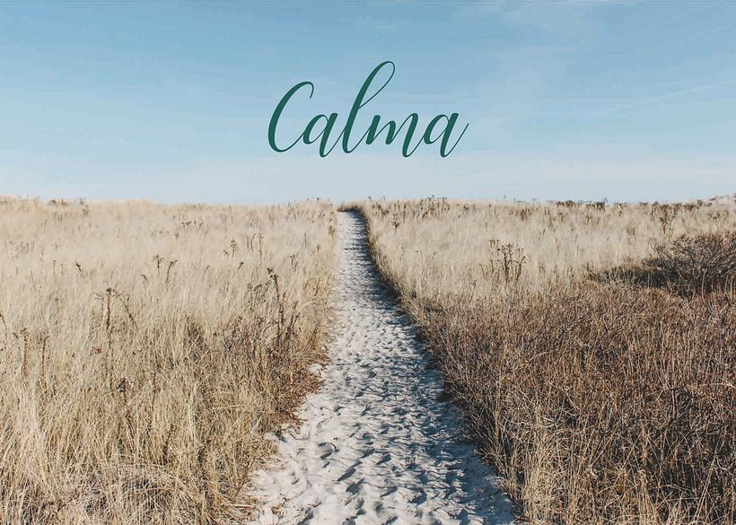 Packaging Vino Calma 0