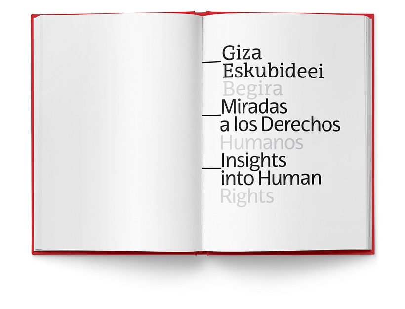 Libro «Miradas a los Derechos Humanos»  2